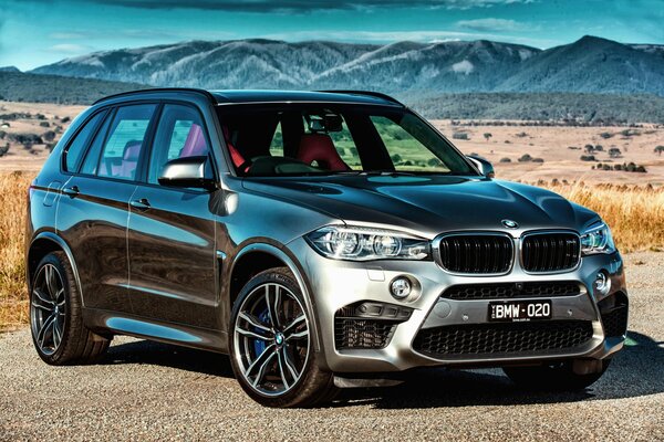 El mejor coche de su clase bmw X5