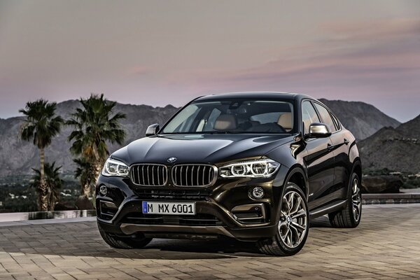 Voiture BMW X6 se dresse sur le fond de la montagne