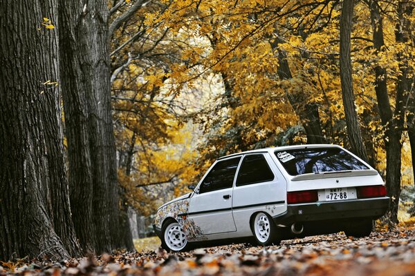 Automne solitaire Tavria se promène dans le parc