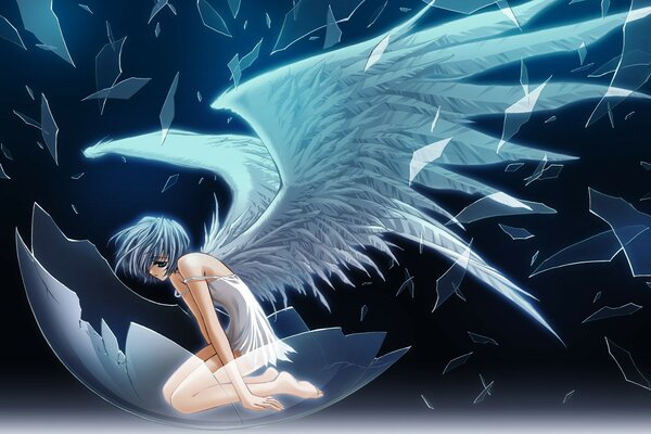 Born angel, anime picture