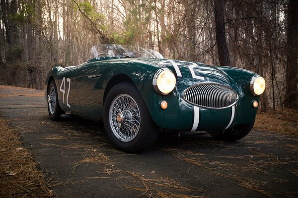 Austin healey 100s 1955 car in the woods