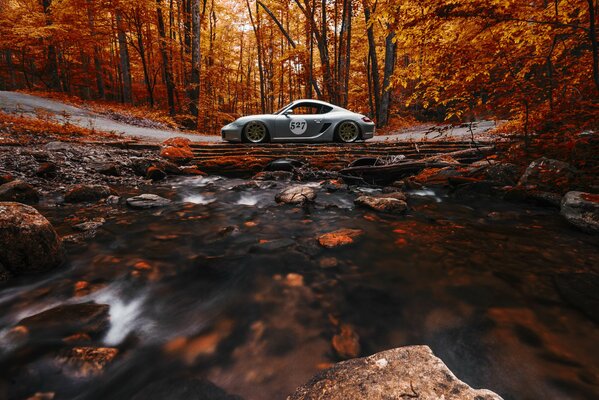 Un Porsche Caimán plateado contra un bosque naranja otoñal