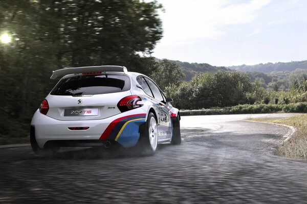 Peugeot 208 t16 sports car racing on the road