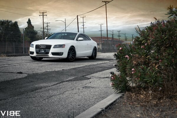 White audi car, a5 on the road