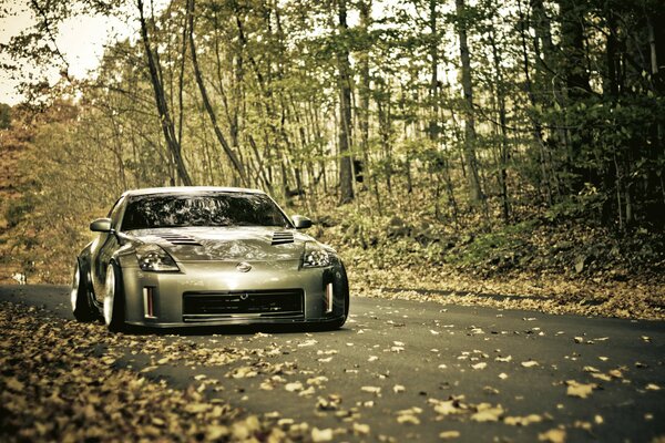 Beautiful gray sports car on the autumn road