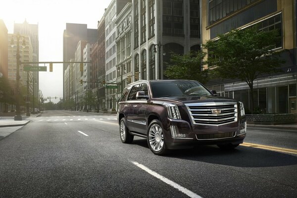 SUV cadillac escalade auto per la città