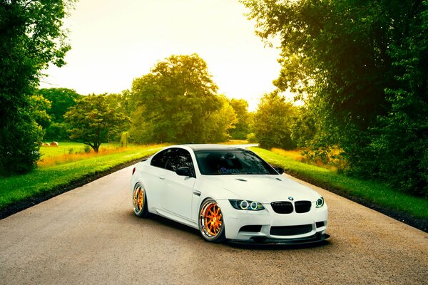 BMW blanco en el parque verde