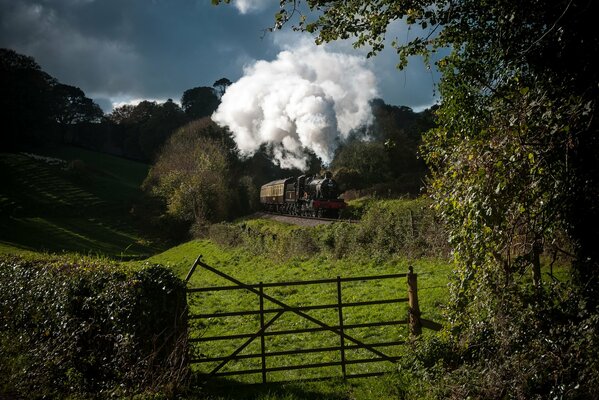 The locomotive rides in nature and lets out smoke