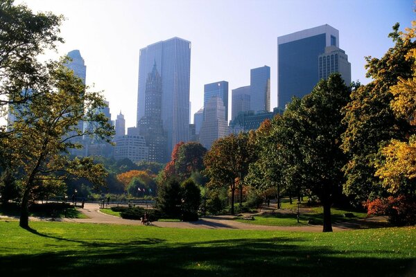 Grüner Park in einer amerikanischen Stadt - New York