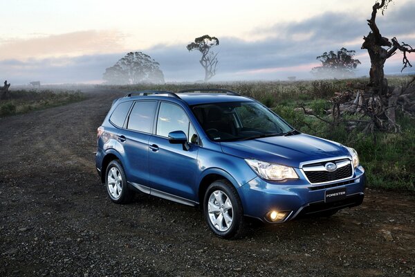 Blue glossy Subaru Forester on the road