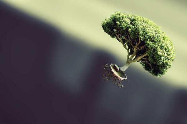 Ein kleiner Baum, der in der Schwerelosigkeit schwebt