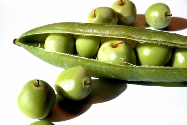 Green pea pod with apples