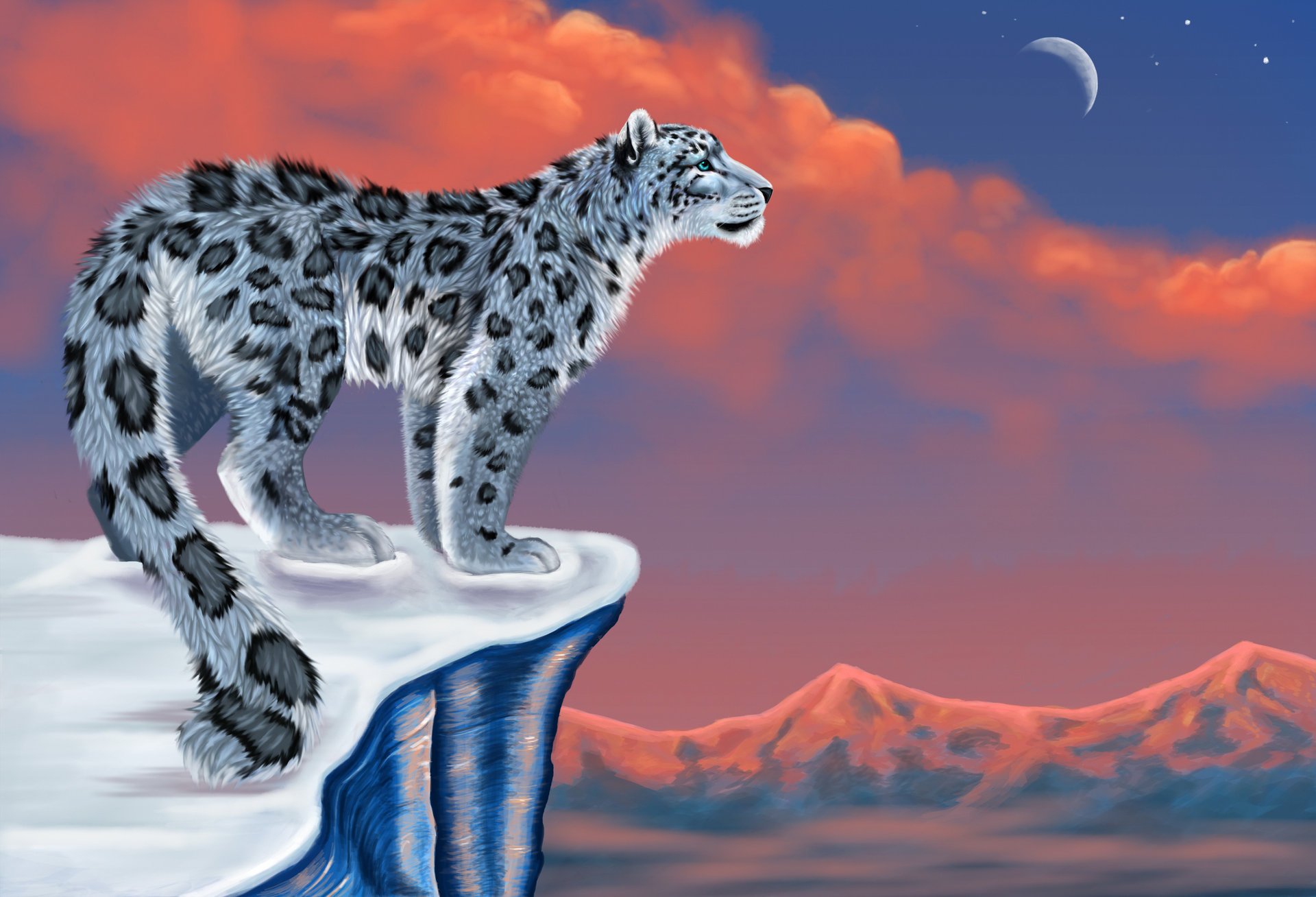 drawing snow snow leopard snow leopard snow leopard moon mountains predators view