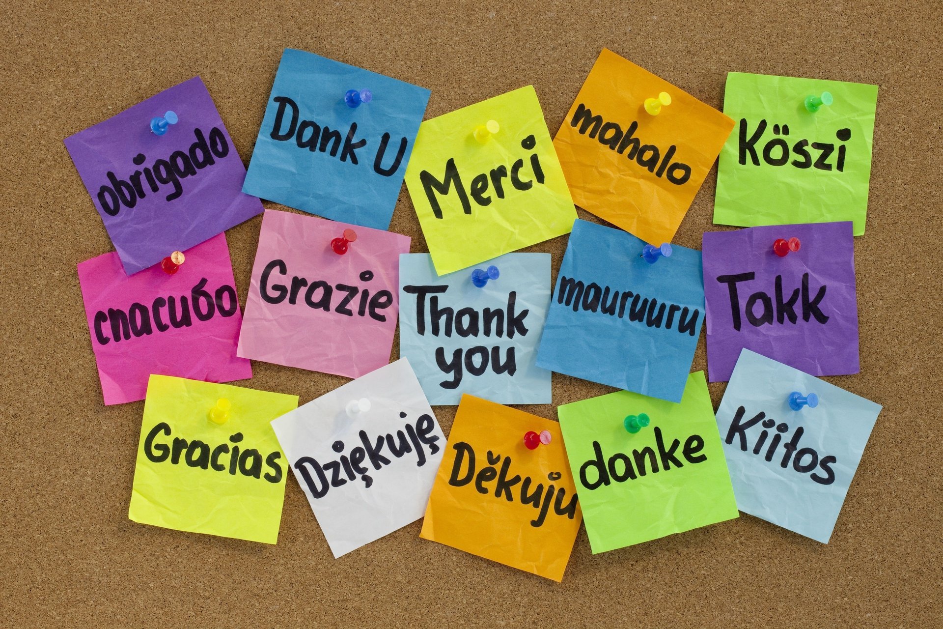 thank you languages thank you set board buttons multicolored stickers texture