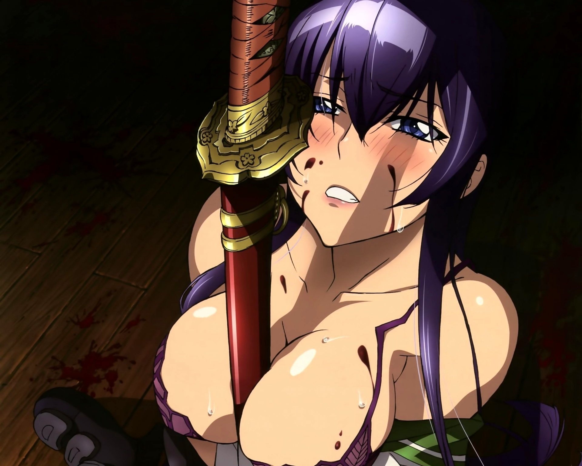 high school of the dead saeko катана грудь взгляд самурай девушки-а лицо-а глаза-а портрет-а рисунки грудь-а эротика-а самурай-а