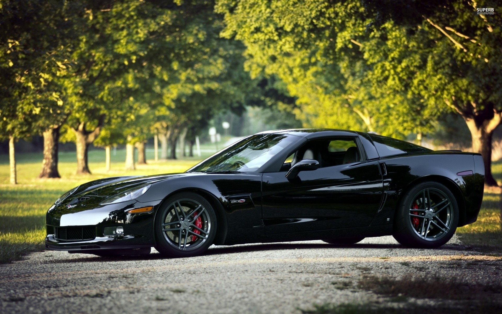 auto naturaleza chevrolet corvette negro