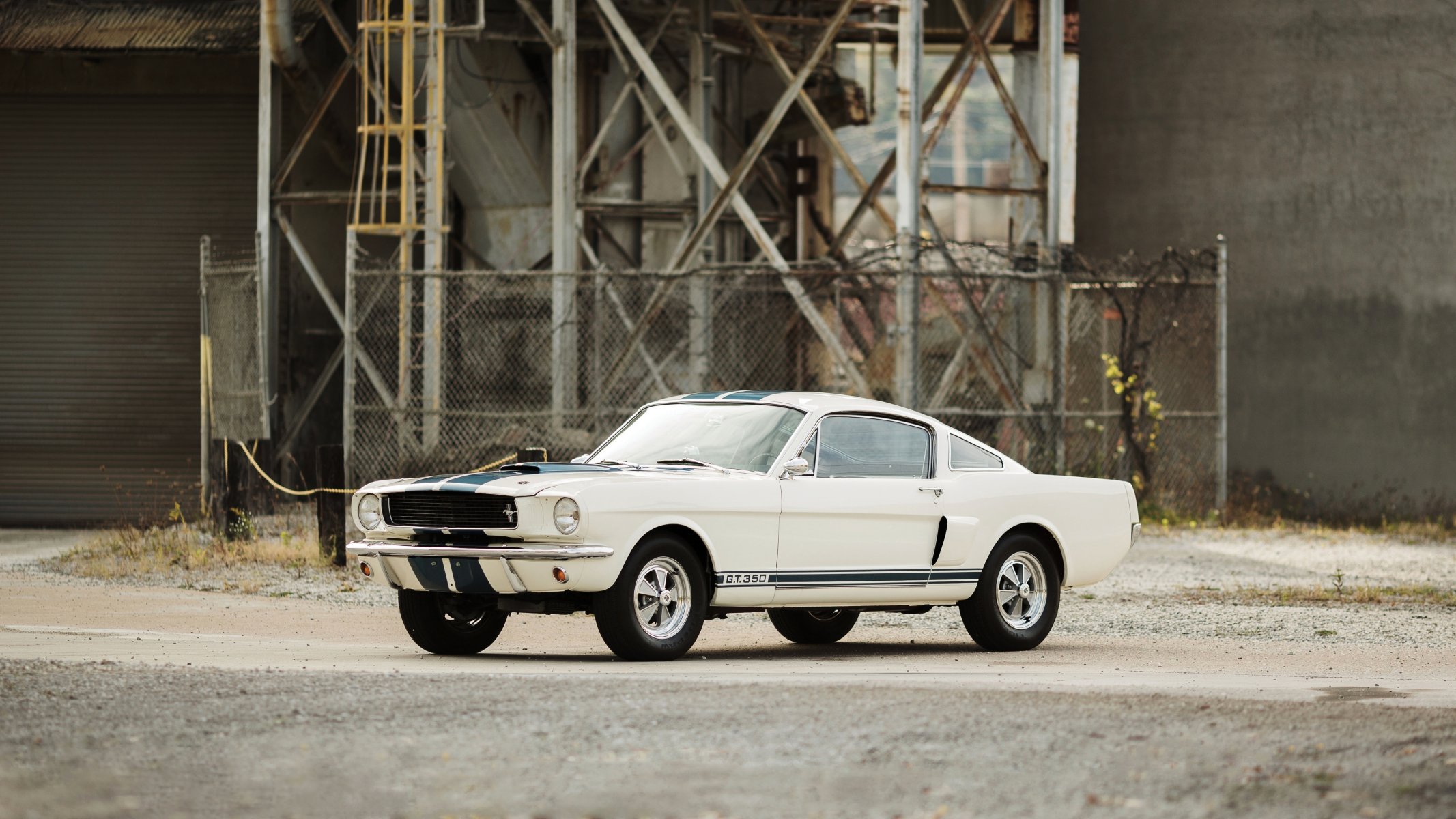 1966 shelby gt350 ford mustang