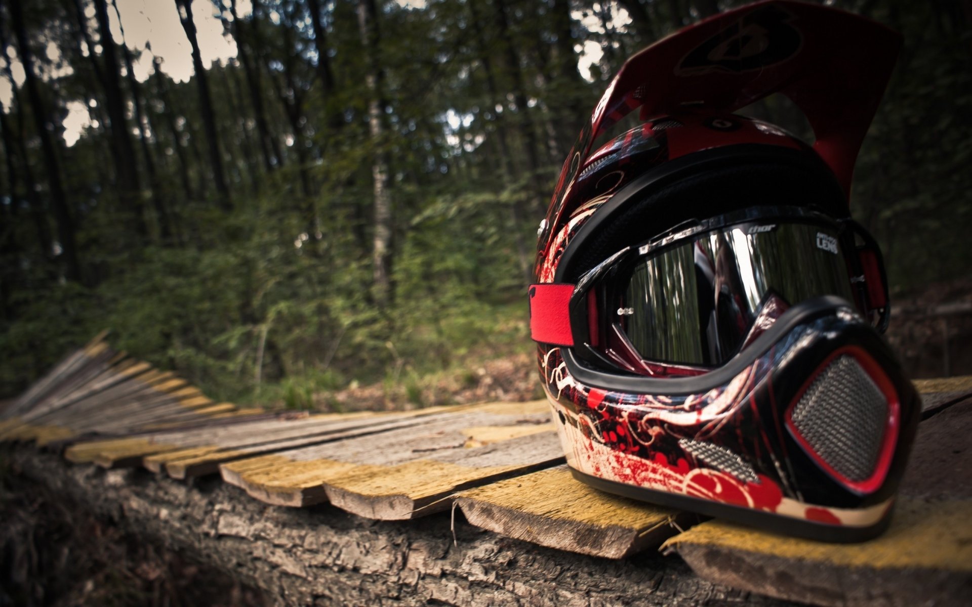 casco mountain bike foresta pista sport estremo tavole alberi trucchi macro