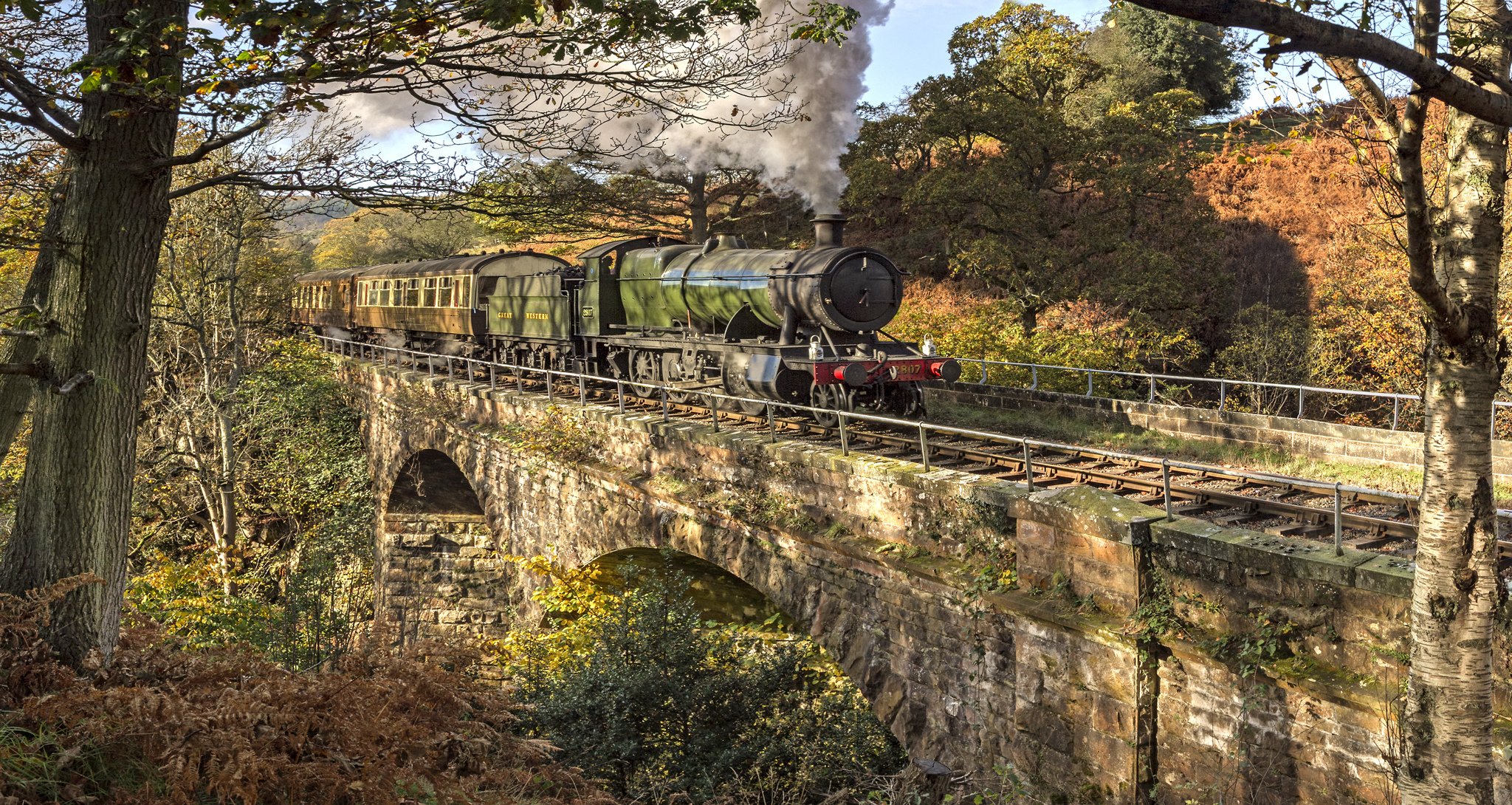 locomotive à vapeur pont nature