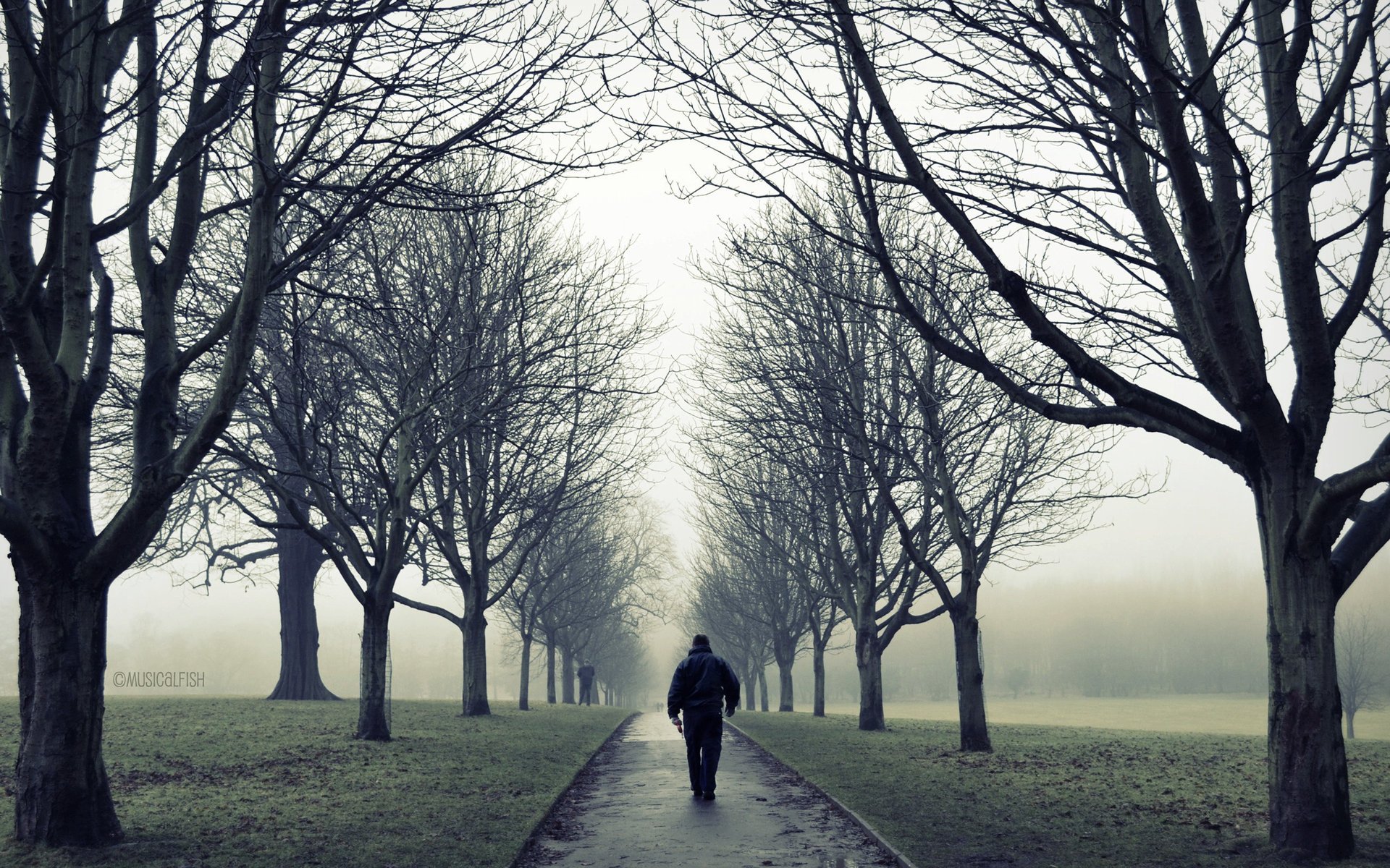 mężczyzna mężczyzna sam spacer samotność park drzewa gałęzie jesień mgła droga nastrój natura