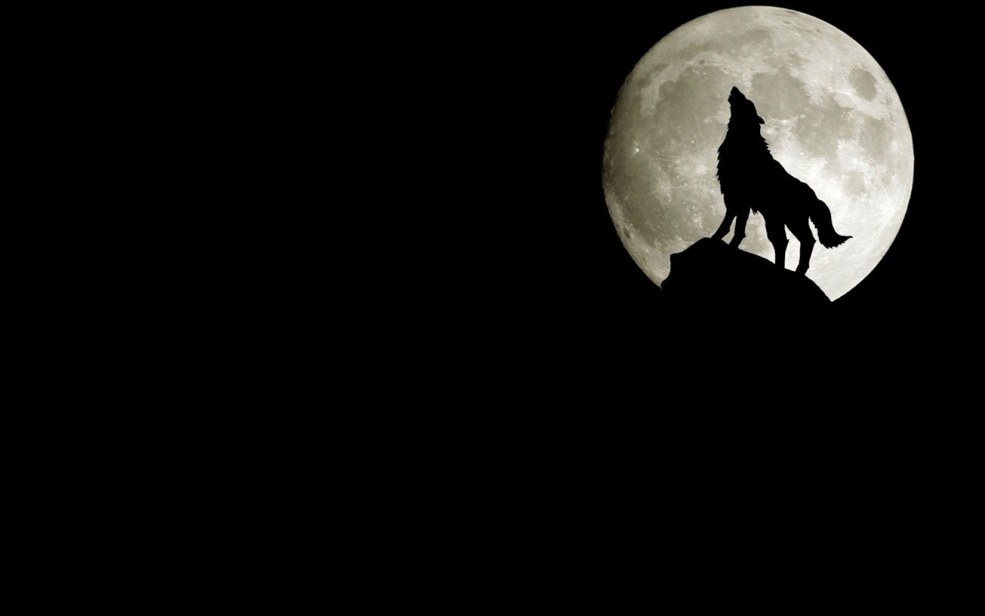 loup minimalisme lune rocher silhouette hurlant animaux simplicité fond sombre