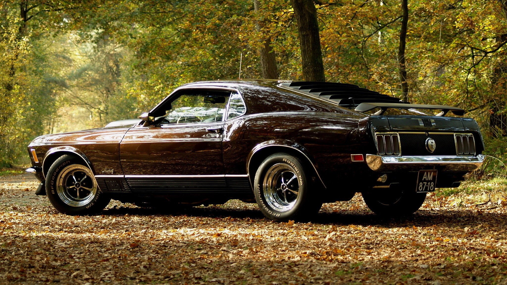 mustang musclecar auto autunno auto auto marrone fogliame parco alberi mustang automobili veicoli veicoli a motore