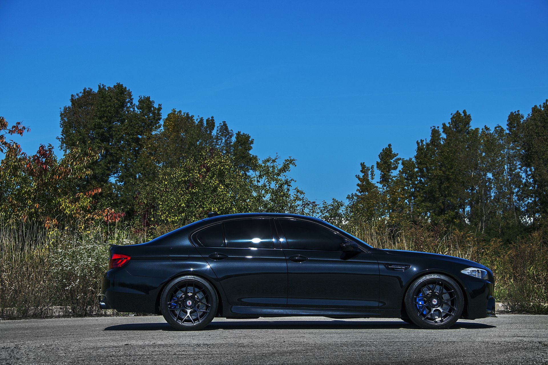 bmw m5 f10 черный wheels.бмв профиль диски суппорты синие