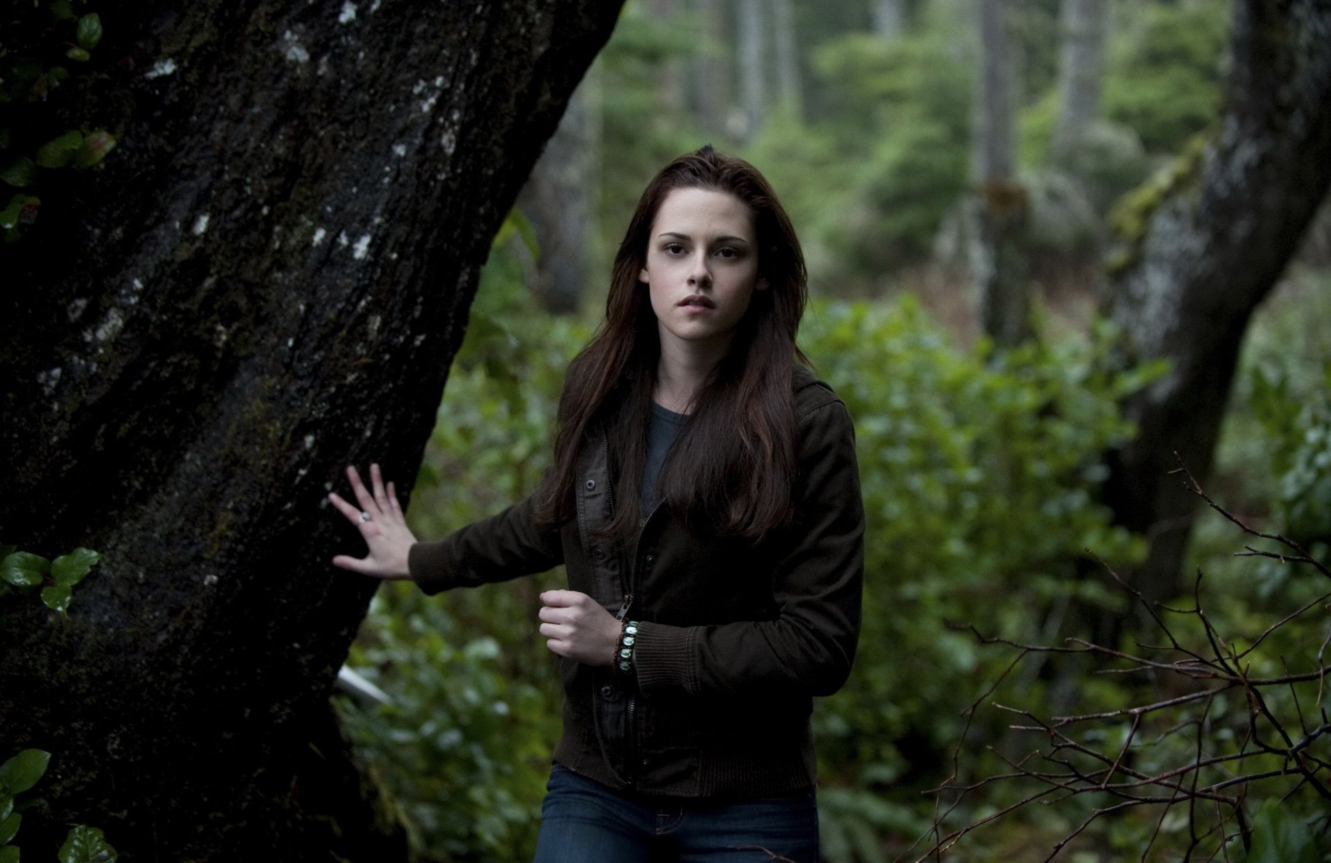 kristen stewart bella aktorka film zmierzch las kobiety twarz