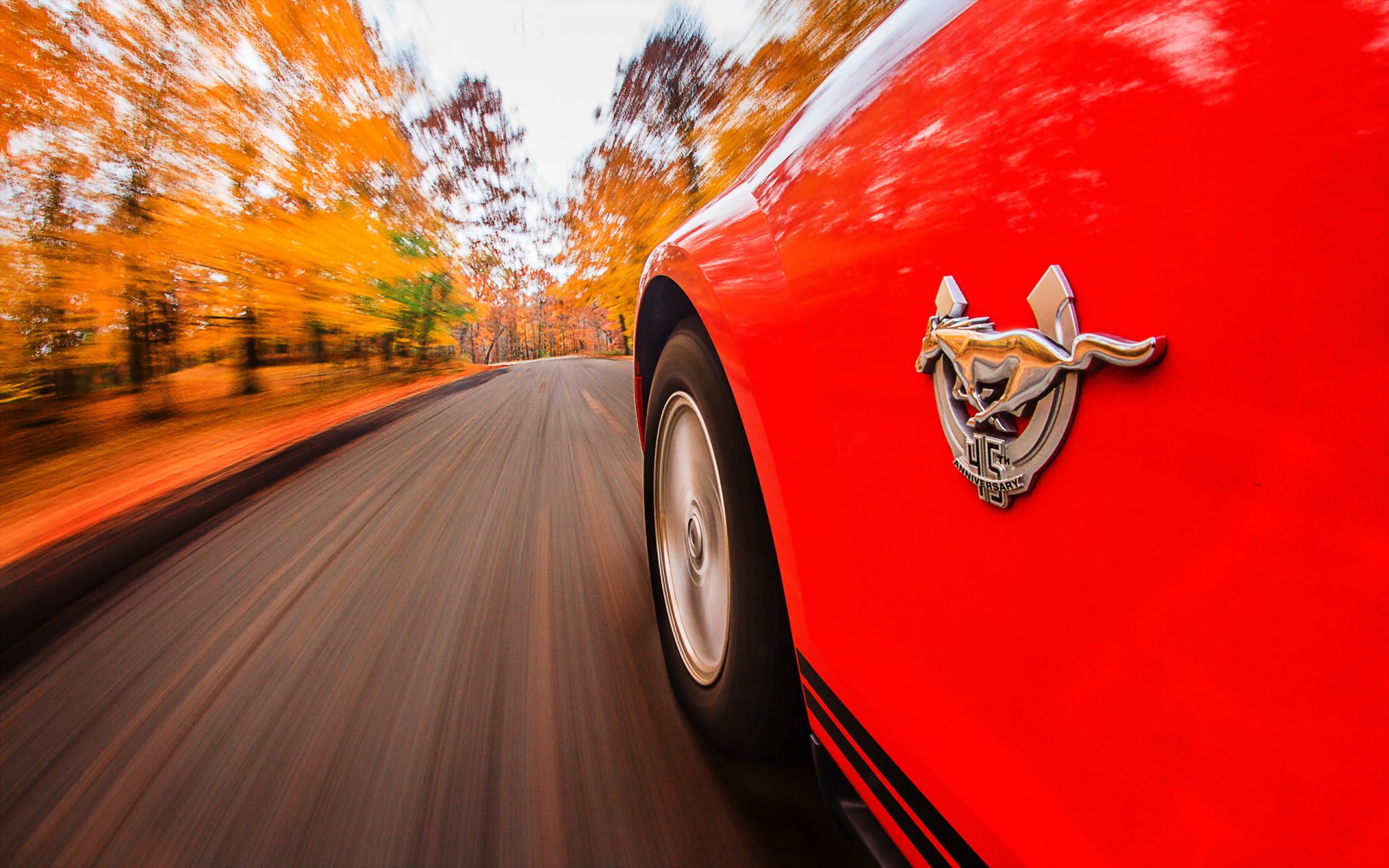 mustang camino fondo