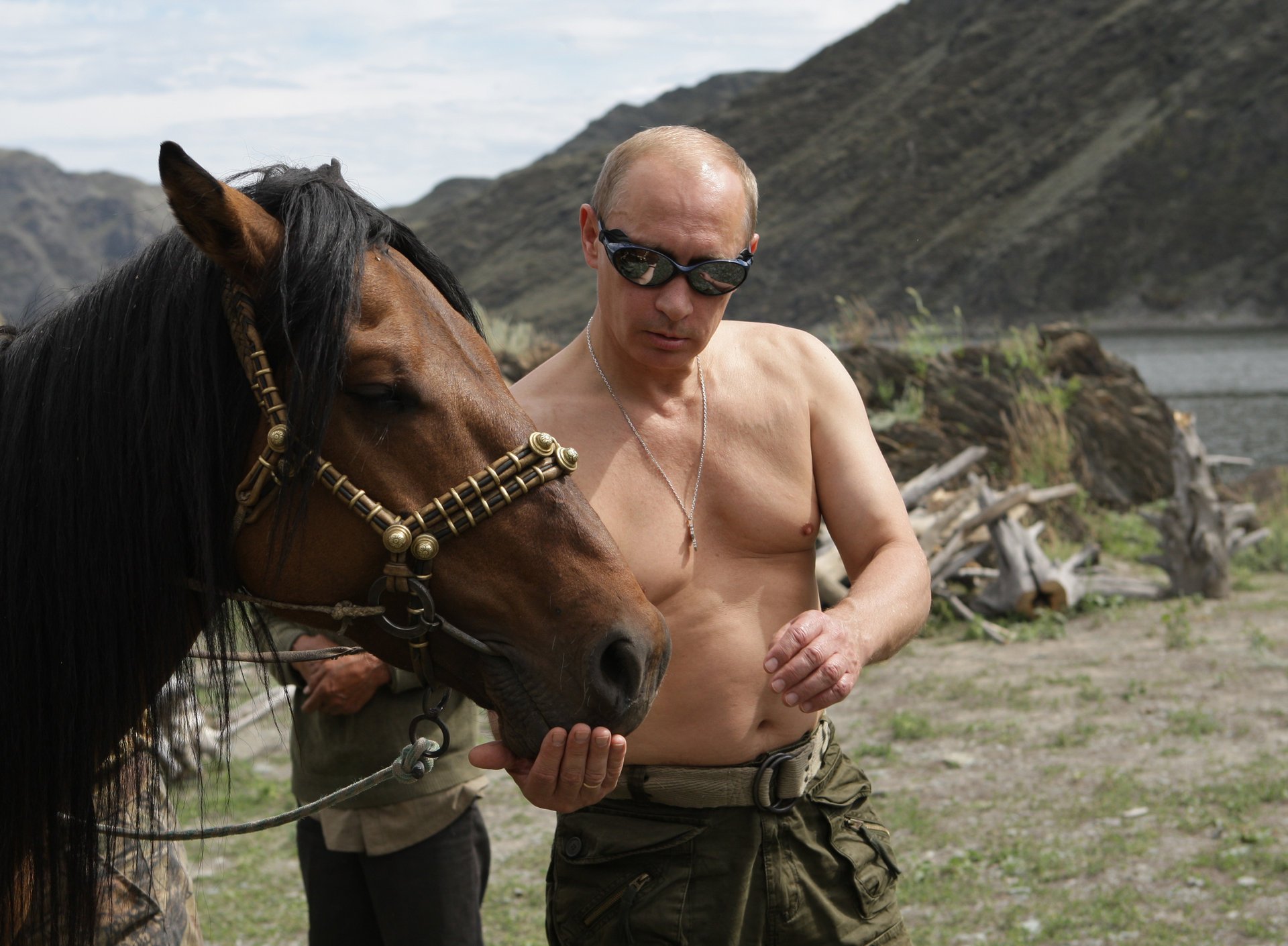 vladimir poutine président de la russie premier ministre de la russie cheval nature poutine montagnes papier peint politique animaux ongulés chevaux visage lunettes gnedoy