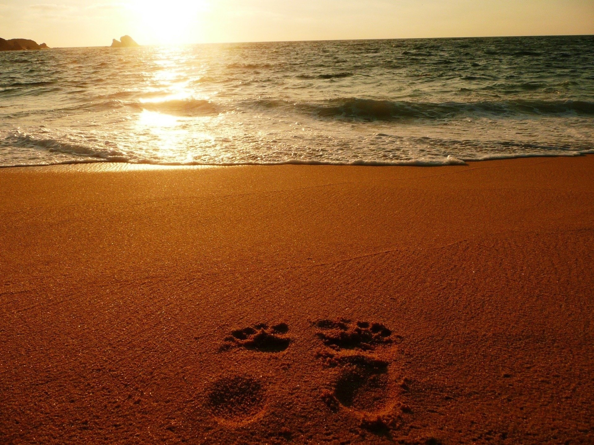 sabbia mare oceano impronte tramonto spiaggia natura costa orizzonte acqua