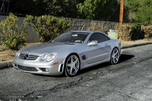 Gray Mercedes on the background of bushes