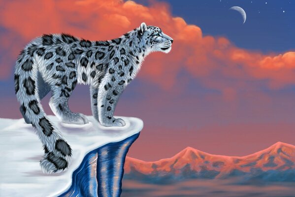 Le léopard des neiges sur la montagne a jeté son regard sur la lune