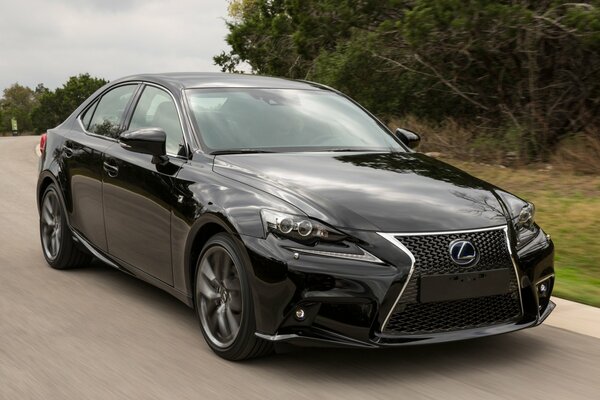 Black Lexus road and speed as one
