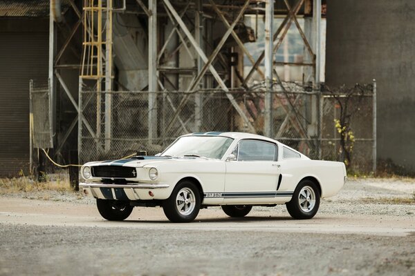 Ford Mustang GT350, 1966 White Shelby