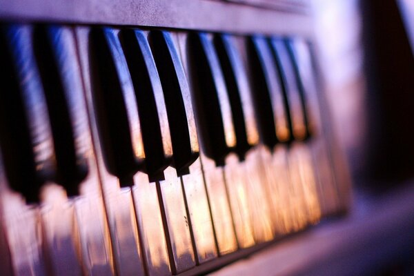 Instrumento musical: teclas de piano