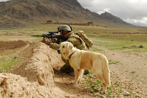 Chien et soldat défendent le territoire