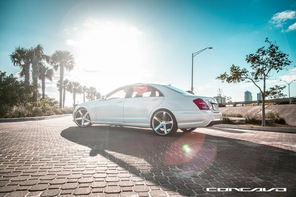 White Mercedes on a background of palm trees and sunlight