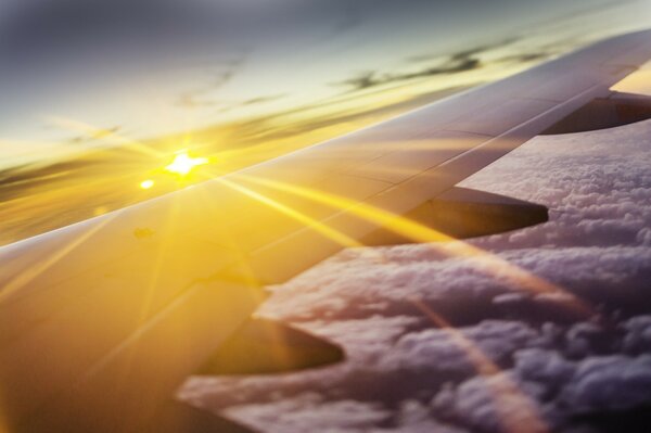 Flugzeugflügel über den Wolken bei Sonnenuntergang