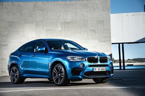 Azul bmw X6 2015