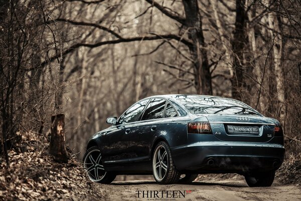 Audi car in the autumn forest