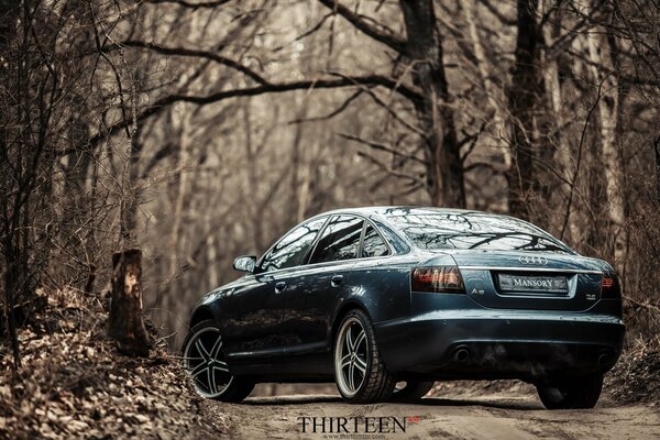 El coche de Audi en el bosque de otoño