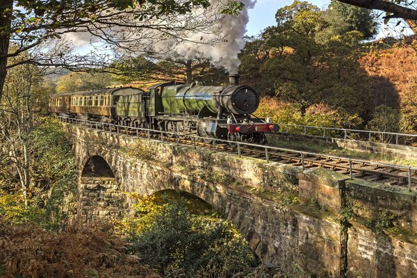 Ancienne locomotive à vapeur sur le pont avec la belle nature