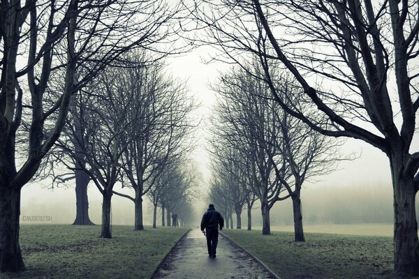 Un homme marche dans une ruelle dans le brouillard