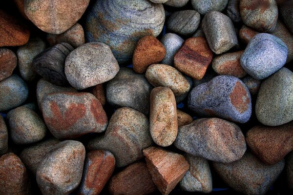 Pierres de mer. Cailloux multicolores