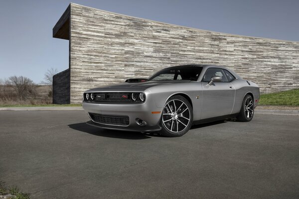 A wildly stylish car stands against the background of some wall that looks like a challenge 2015 tree