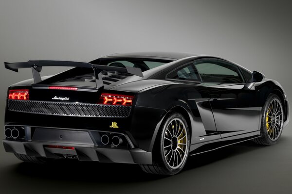 Black labmorgini gallardo from behind