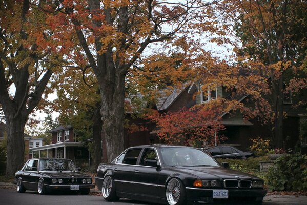 Dos coches negros en una calle de otoño