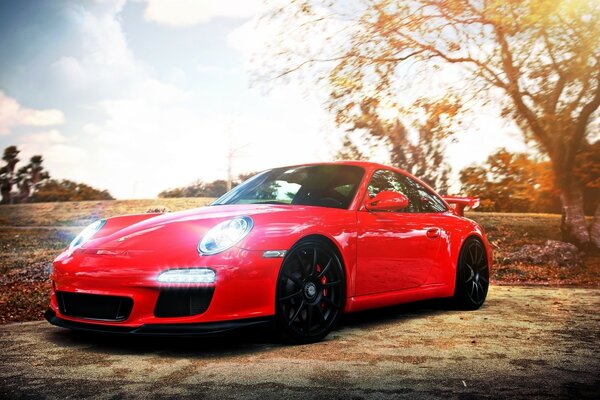 Red Porsche car in nature