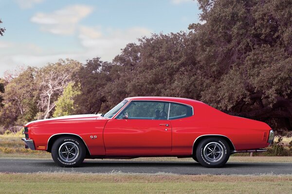 Red classic restored car in the forest